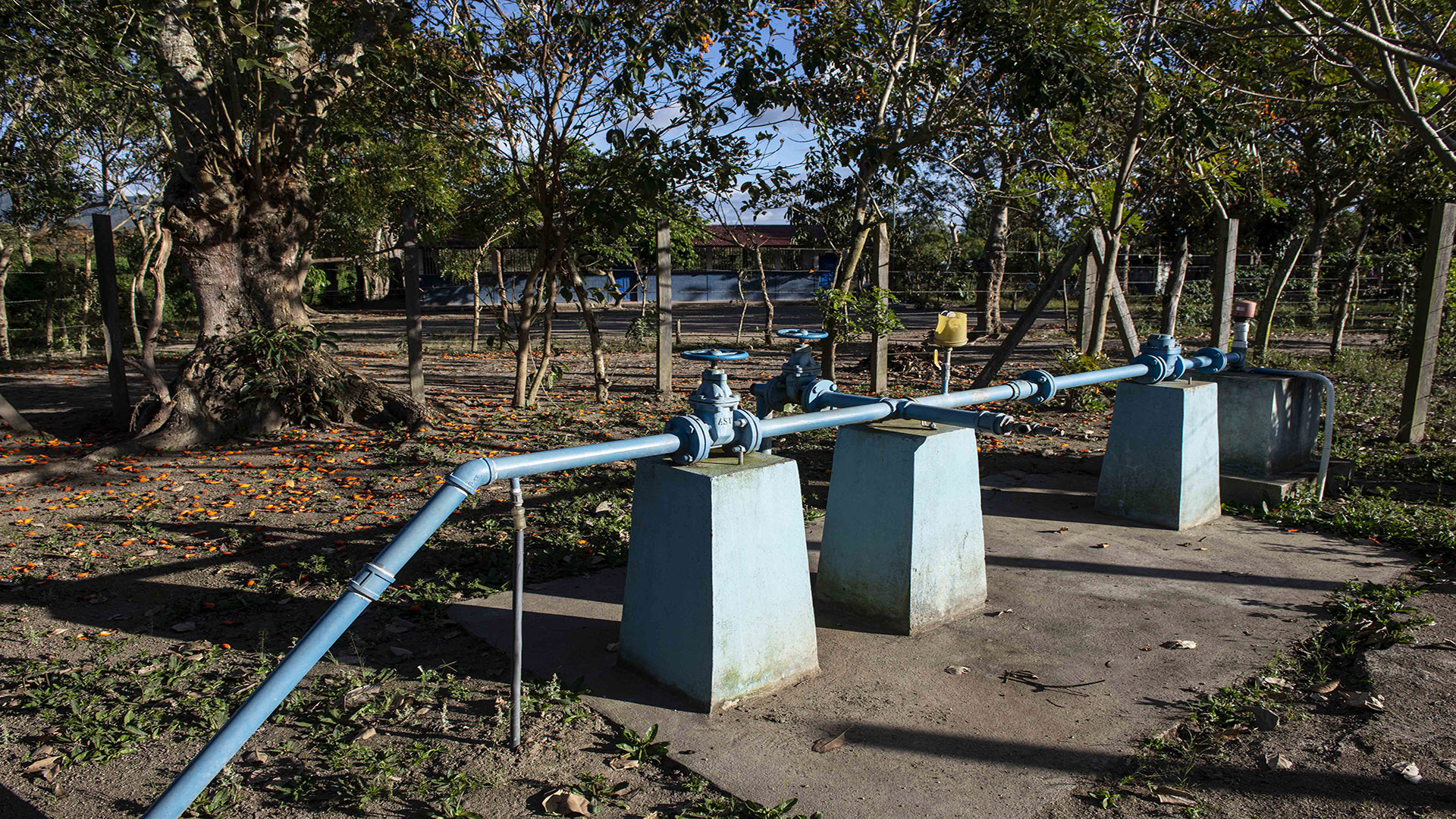 Jalapa, Nicaragua. 08/Marzo/2021. Reportaje investigativo sobre el río coco y sus afluentes. En esta ciudad de Jalapa se han registrado mucho despale, sequía, tala de arboles, cultivos de cafe y cultivos de tabaco, que dañan el sub suelo y contaminan el manto acuifero. En Jalapa hay mas de 12 aserríos donde procesan las tucas de arboles y salen en formas de reglas o tablas. Oscar Navarrete ©.