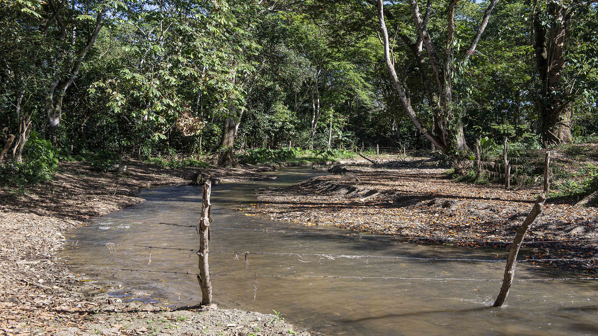 Jalapa, Nicaragua. 08/Marzo/2021. Reportaje investigativo sobre el río coco y sus afluentes. En esta ciudad de Jalapa se han registrado mucho despale, sequía, tala de arboles, cultivos de cafe  y cultivos de tabaco, que dañan el sub suelo y contaminan el manto acuifero. En Jalapa hay mas de 12 aserríos donde procesan las tucas de arboles y salen en formas de reglas o tablas. Oscar Navarrete ©.