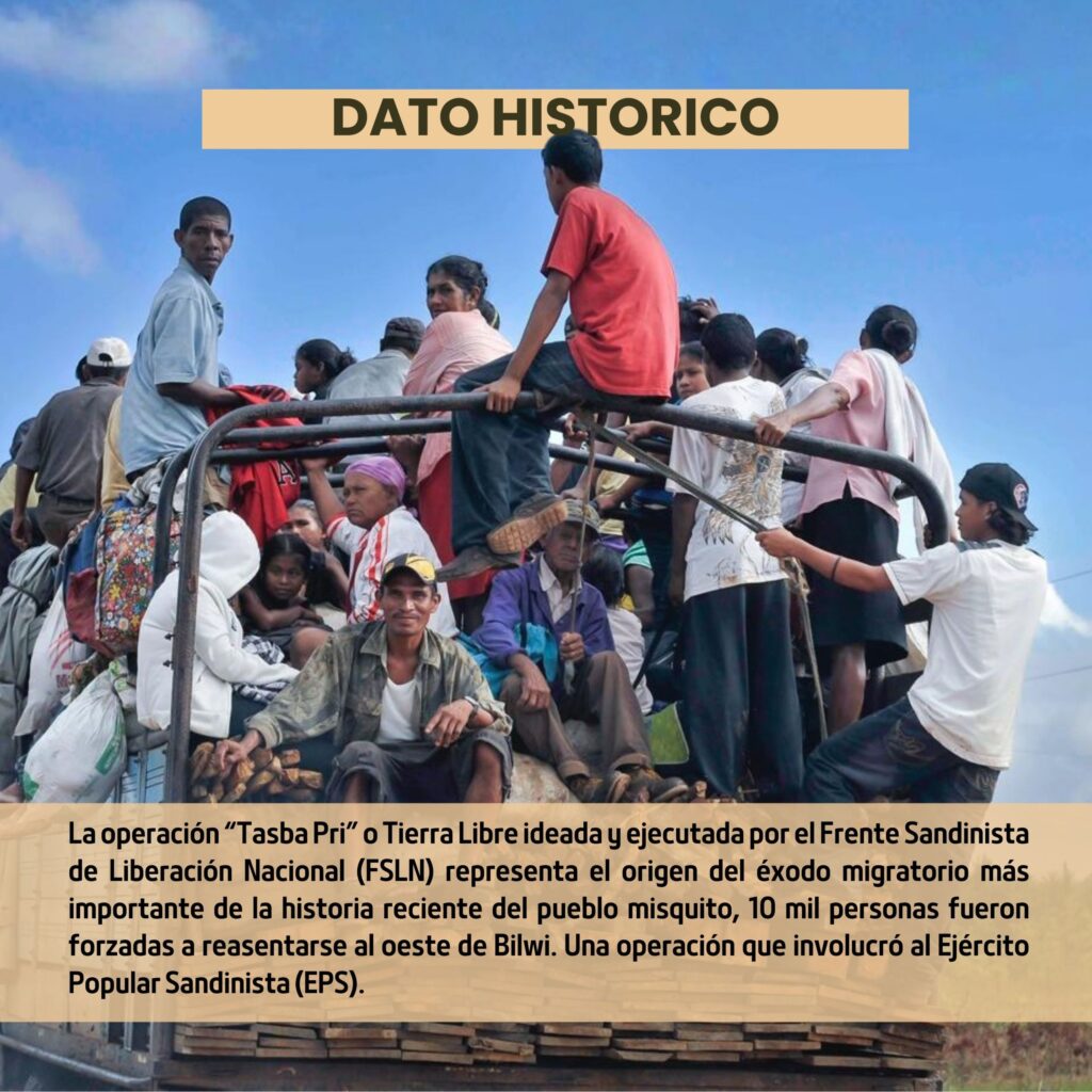 Dato histórico sobre el impacto de la Operación "Tasba Pri" o "Tierra Libre" en la vida del pueblo misquito.